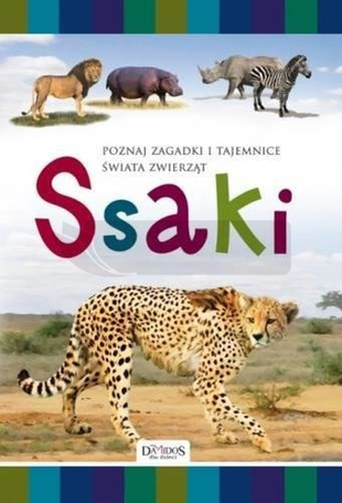 Ssaki TW Damidos