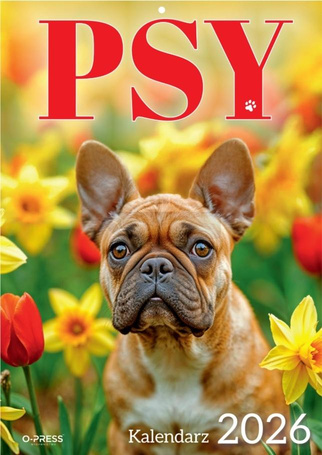Kalendarz 2026 A4 Wieloplanszowy Psy