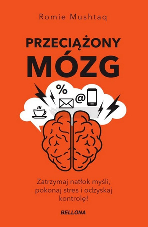 Przeciążony mózg