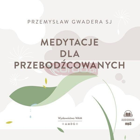 Medytacje dla przebodźcowanych
