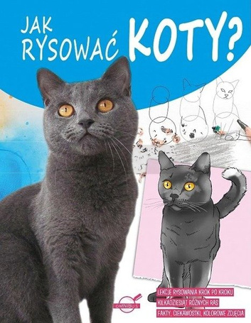 Jak rysować koty?