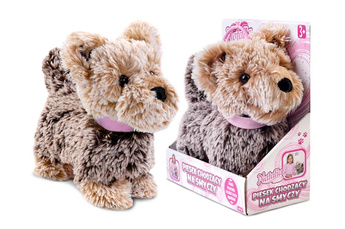 Piesek chodzący na smyczy brązowy