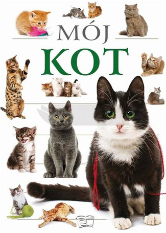 Mój kot
