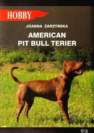 American pit bull terier