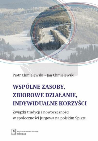 Wspólne zasoby, zbiorowe działanie indywidualne...