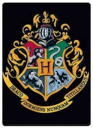 Harry Potter Magnes Herb Hogwartu