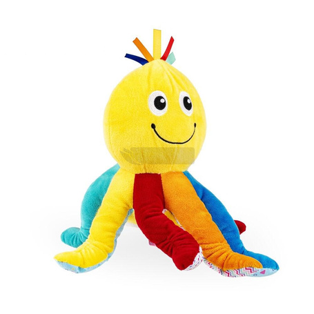 Wędrująca ośmiornica