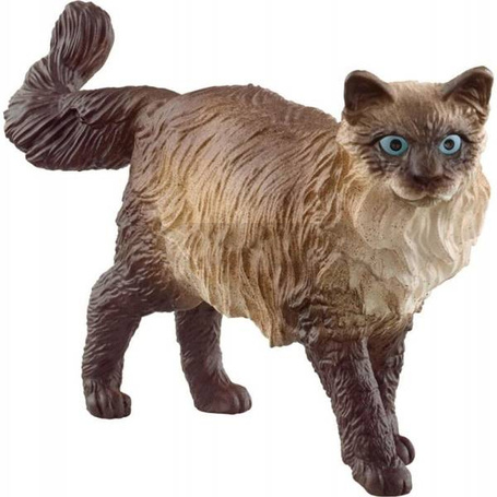 Kot ragdoll