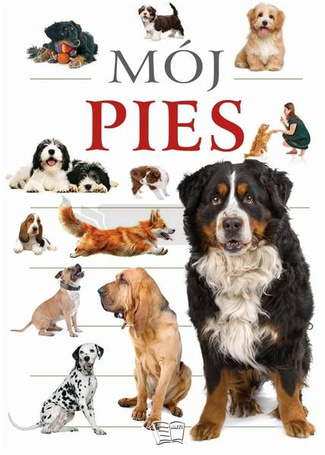Mój pies