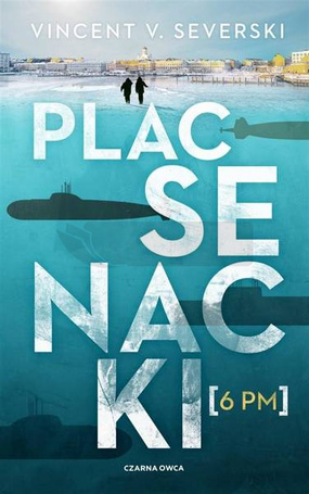 Plac Senacki 6 PM BR