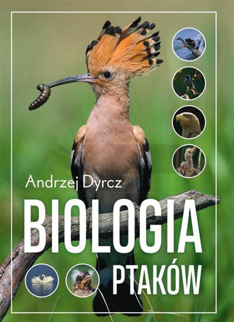 Biologia ptaków