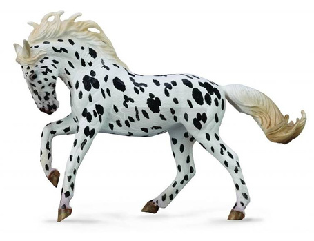 Klacz rasy Knabstrup - kary