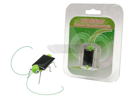 Konik polny solarny