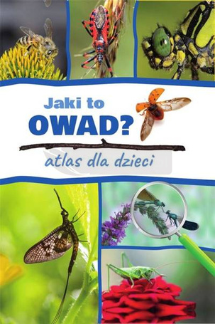Jaki to owad? Atlas dla dzieci