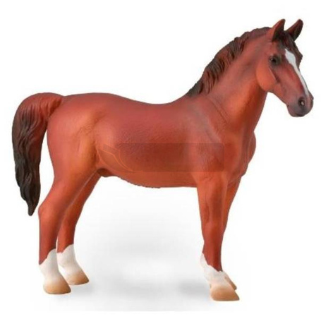 Hackney Stallion Chestnut