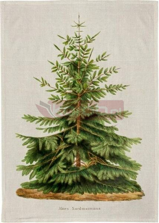 Ręcznik kuchenny - Jodła Święta BN