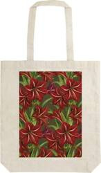 Torba bawełniana STBAG 66 Gwiazda Betlejemska BN