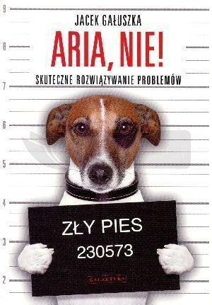 Aria, nie! Skuteczne rozwiązywanie problemów