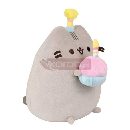 Pusheen z tortem
