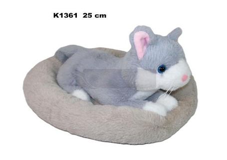 Kot w legowisku 25cm