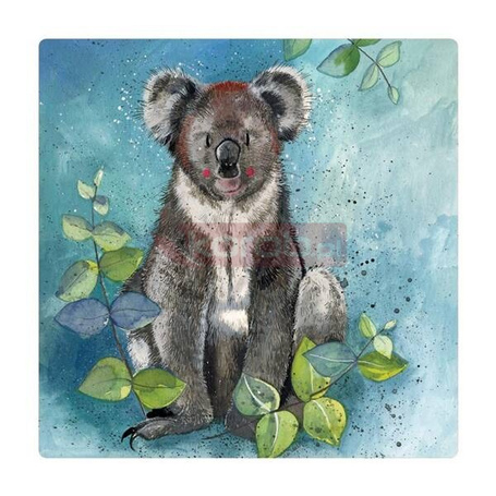 Magnes FM209 Koala