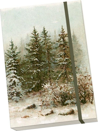 Notatnik ozdobny A5 STNOTE 144 Zimowy las BN
