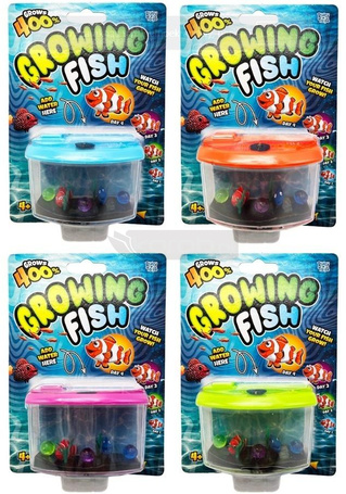 Hodowla ryb w akwarium mix