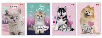 Zeszyt A5/16K kratka My little friend (15szt)