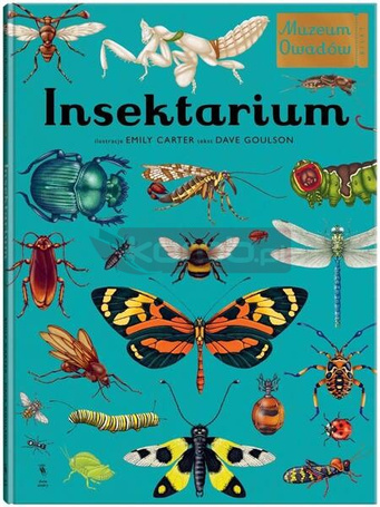 W Muzeum. Insektarium. Muzeum Owadów