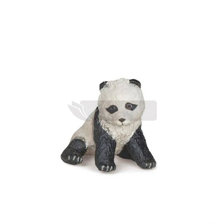Panda młoda siedząca