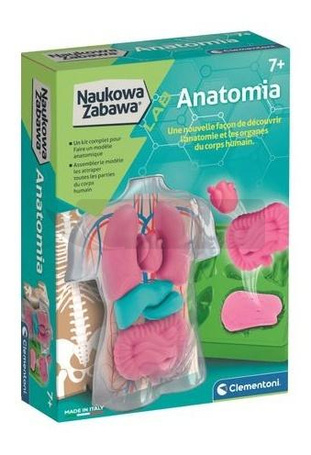 Naukowa Zabawa. Anatomia