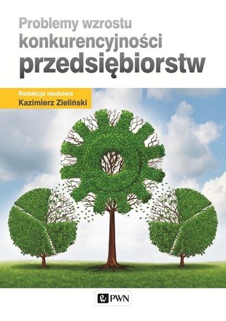 Problemy wzrostu konkurencyjności przedsiębiorstw