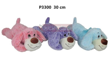 Pies 30cm MIX