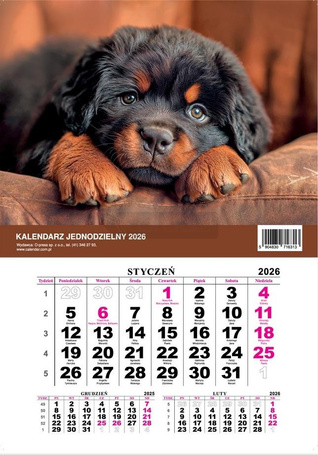 Kalendarz 2026 jednodzielny Pies