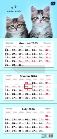 Kalendarz 2026 trójdzielny 82,5x34cm Koty