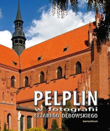 Pelplin w fotografii Cezarego Dębowskiego BR