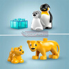 LEGO DUPLO 10442 Rodziny dzikich zwierząt: pingwiny i lwy, zestaw klocków