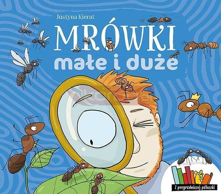 Mrówki małe i duże