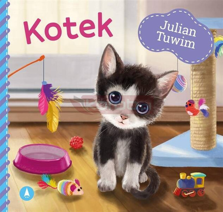 Kotek