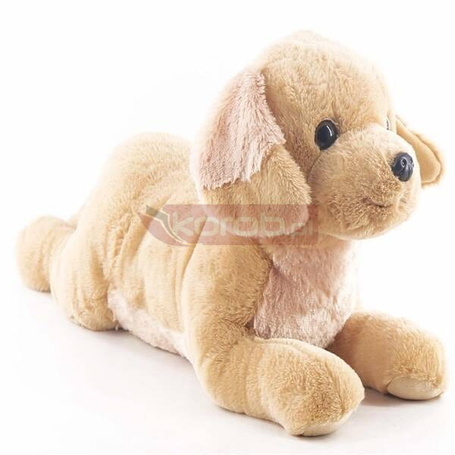 Maskotka pies Labrador 60cm leżący