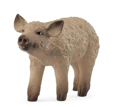 Prosię Mangalica