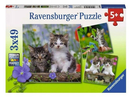 Puzzle 3x49 Kocięta