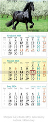Kalendarz 2026 ścienny trójdzielny Koń