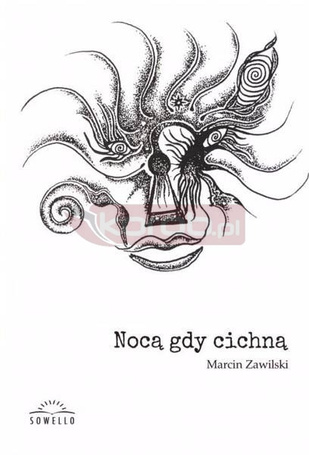 Nocą, gdy cichną
