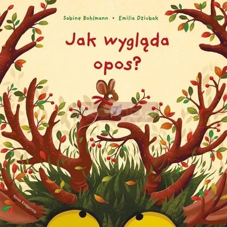 Jak wygląda opos?