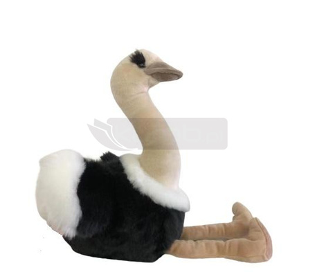 Struś z zawieszką 36cm