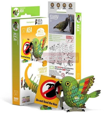 Papuga Kea Eugy. Eko Układanka 3D