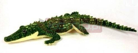 Krokodyl 85cm