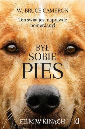 Był sobie pies. Ten świat jest naprawdę pomerdany