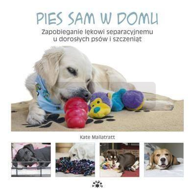 Pies sam w domu. Zapobieganie lękowi...